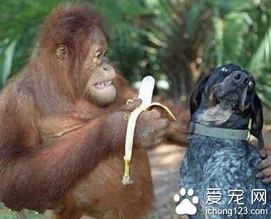 敢不给哥面子！