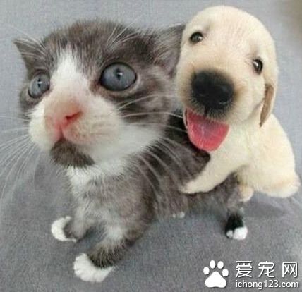 咱来一张大头照~茄子~