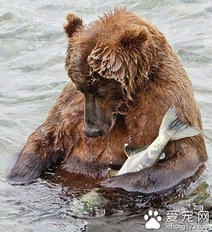 抓到你我就可以安心睡觉了