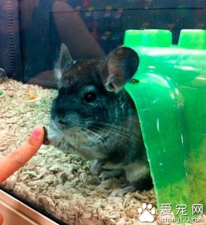 你我约定一争吵赶快要喊停。