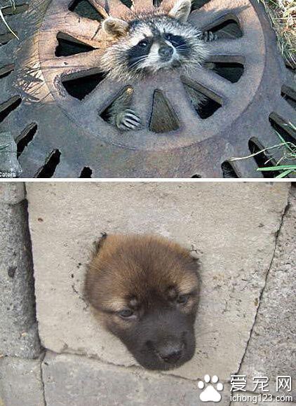 被卡住了，最后一张亮瞎眼。