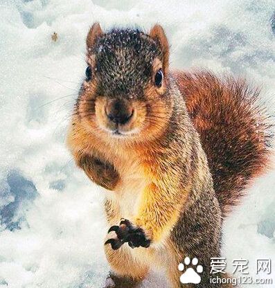 别过来，我可练过！