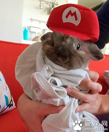 老板，这帽子不大合适呀。