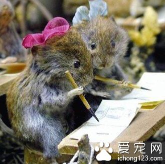 哇，你画的比我画的好多了呢～