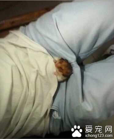 这个位置刚刚好