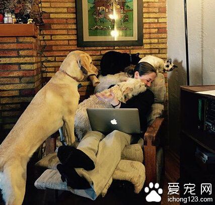 你们放开我的妹纸