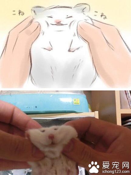 网络与现实果然有差别！