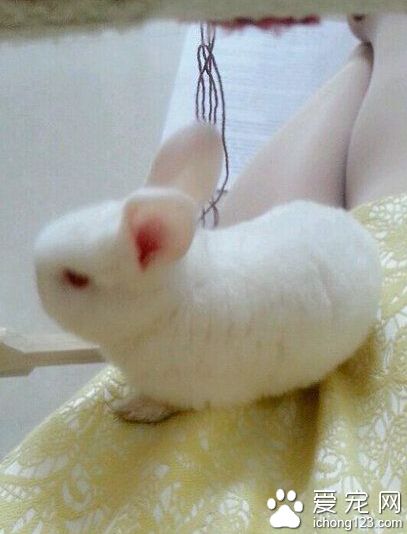 终于可以光明正大的买胡萝卜了