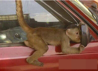 我这不也挺帅的啊