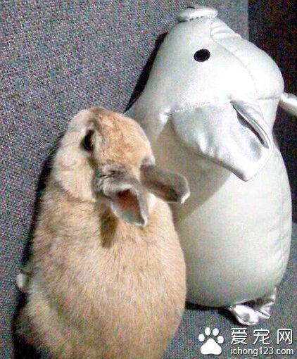 旁边这货太傲娇了，半天了也不说句话。