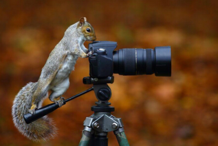 大家都摆好pose，我数123