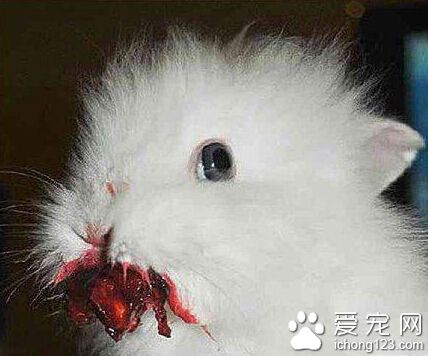 我只是吃了个草莓而已