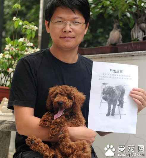 泉州1年上百只狗走失 如何让走丢的狗狗需找回家的路引起人们的关注