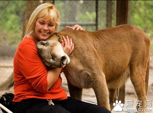 很多美国的普通家庭饲养“另类”凶猛宠物