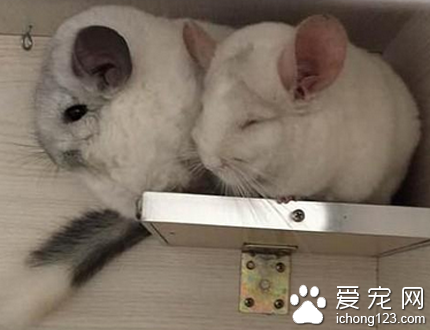 别过来我要掉下去了