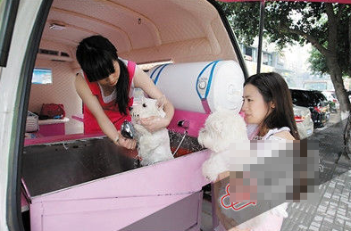 花百万把汽车改成流动宠物美容院 是正确的投资吗