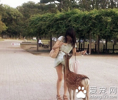以后去动物园千万别穿裙子