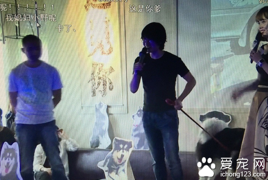 韩寒为宠物狗雪橇犬“小马达”举办粉丝会