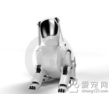 首个家庭宠物式机器人亮相 专为儿童及老人群体而设计