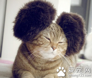 天冷了，要记得保暖哦