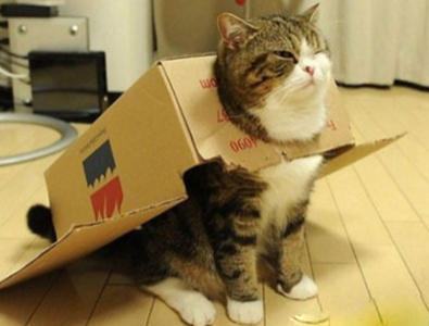 我就是维护世界和平铠甲战士