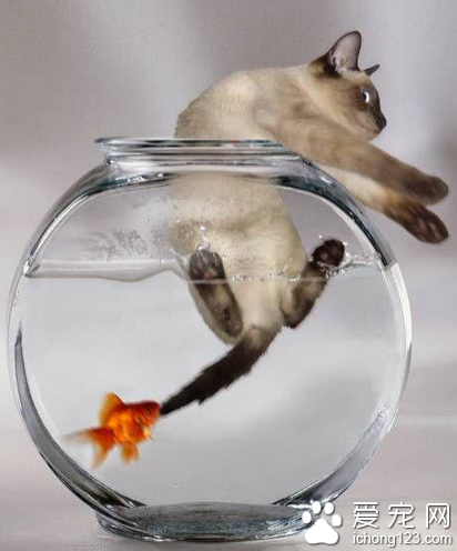 你娃也有今天？