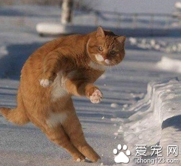 来~跟我一起跳起来