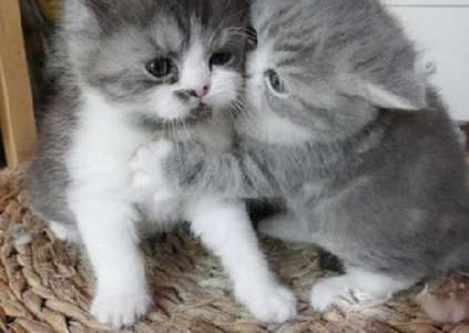 宝贝不要生气哈