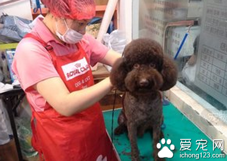 小区宠物医院影响居民5年 未按规定办理环评手续