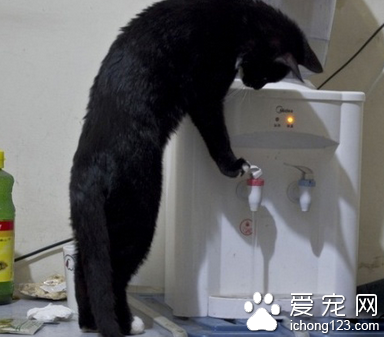 自己动手，丰衣足食