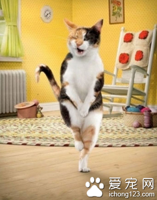 厕所，我要厕所！      厕所，我要厕所！