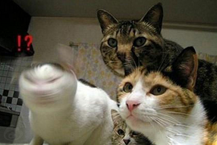 都说了，怕照的时候不准摇头