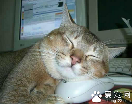 搂着偶的挚爱睡觉咯