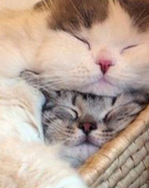 就是不让你离开我