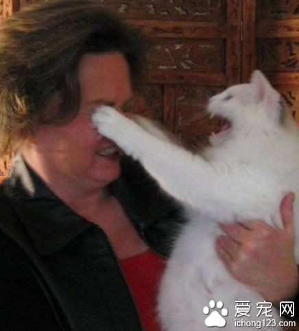 这个你不能看啦