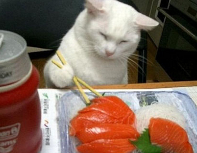 不知道好不好吃呢