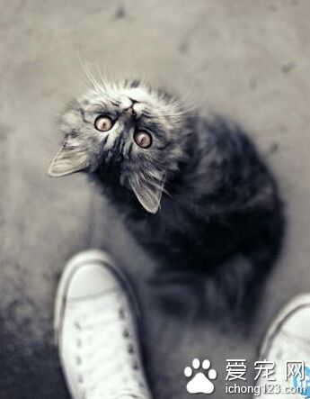 你好高呀，主淫