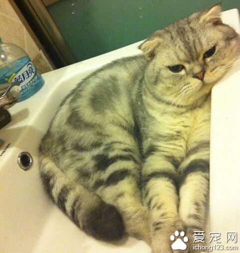 没人给我洗澡，好忧伤