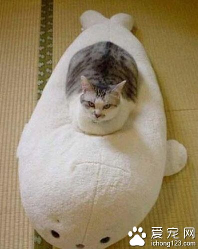 最新核潜艇，杀伤力极强