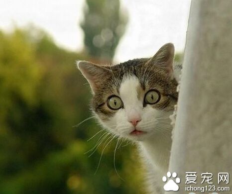 哇，妹纸身材真好，不行了，快流鼻血了...