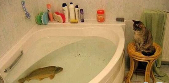 我等的花都谢了