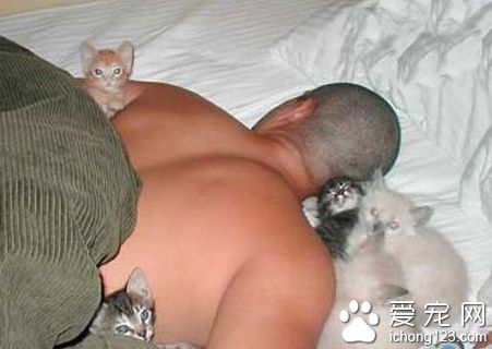 喵星人，你们终于占领地球了