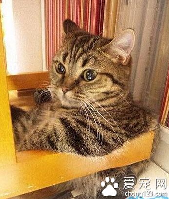 有没有人啊，老子卡住了