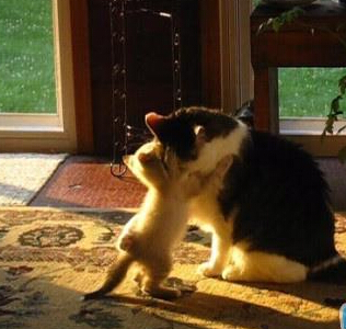 傻孩子，你怎么可能不是我亲生的，咱俩一模一样