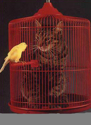 哥我来看看你，保重啊