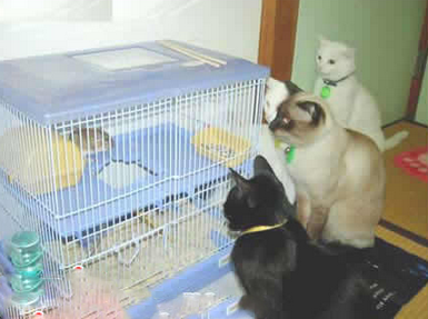 等你出狱了有你好看的