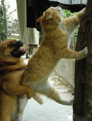 加油，其实你行的