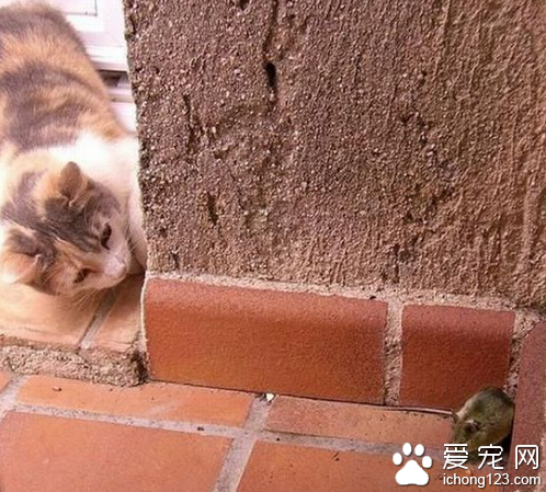 我在这儿等着你过来