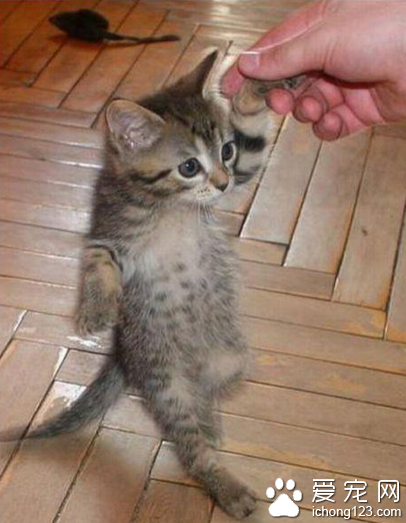 美眉，能邀请你跳支舞么