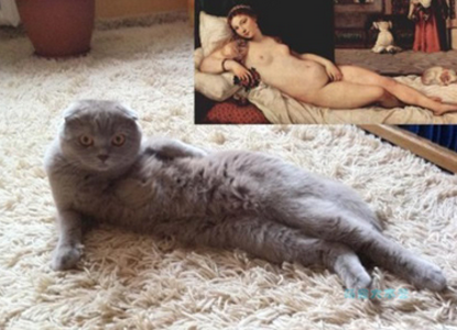 我也可以这么性感